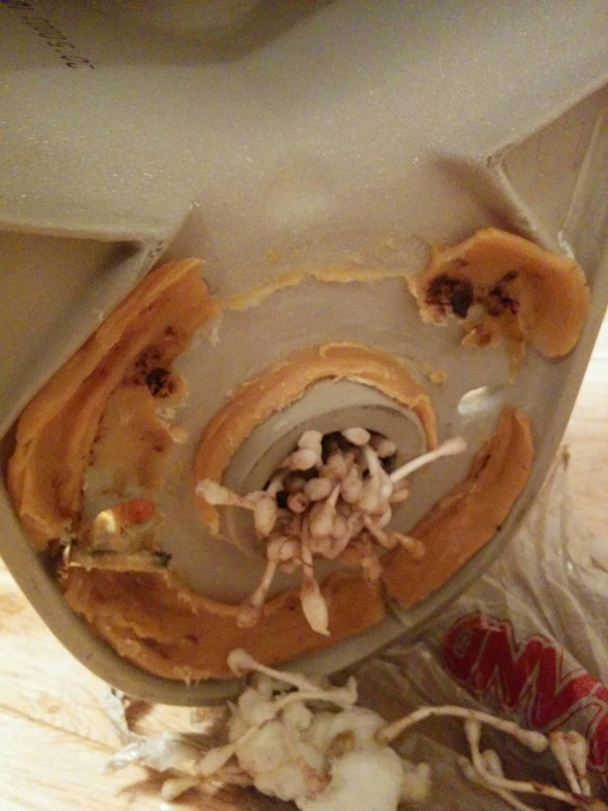 Large number of cotton ear buds flushed down a toilet