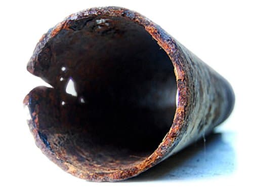 Sewer pipe with tree root intrusion before relining